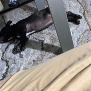 Meet your Posher, Ysatis